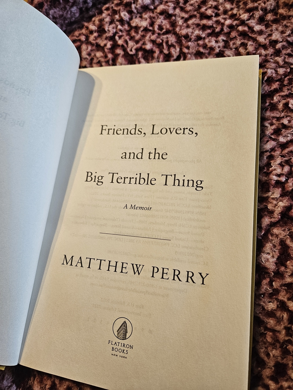 (3 For $15) Friends, Lovers, And The Terrible Things Mathew Perry Book
